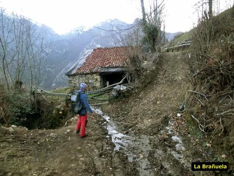 Por los mayaos de Felechosa(y II)