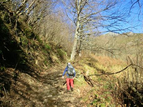 Por los mayaos de Felechosa(y II)