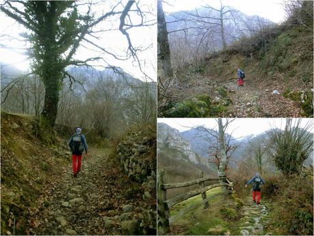 Por los mayaos de Felechosa(y II)