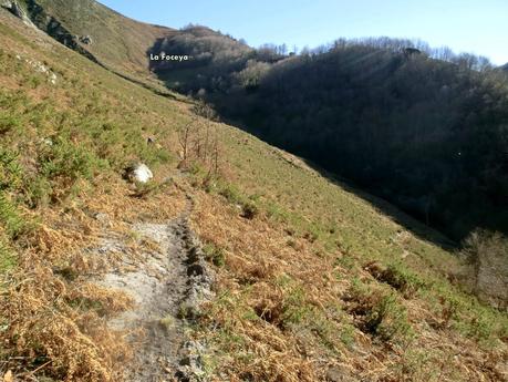 Por los mayaos de Felechosa(y II)