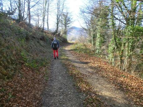 Por los mayaos de Felechosa(y II)