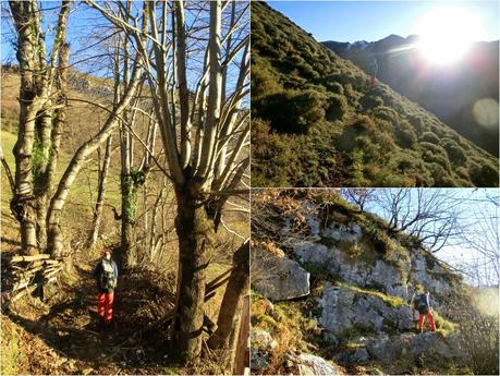 Por los mayaos de Felechosa(y II)