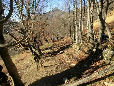 Por los mayaos de Felechosa(y II)