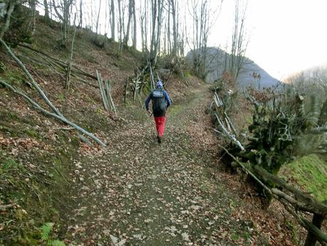 Por los mayaos de Felechosa(y II)