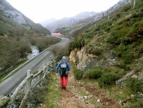 Por los mayaos de Felechosa(y II)