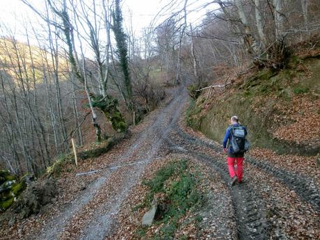 Por los mayaos de Felechosa(y II)