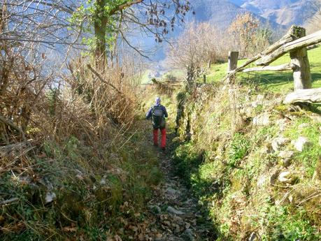 Por los mayaos de Felechosa(y II)