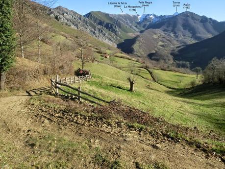 Por los mayaos de Felechosa(y II)