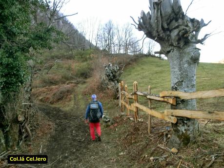 Por los mayaos de Felechosa(y II)