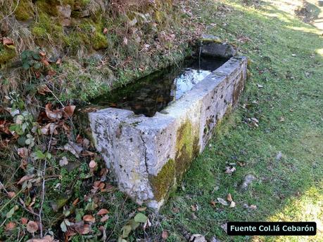 Por los mayaos de Felechosa(y II)