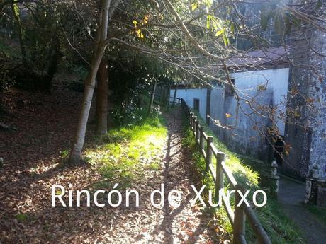 FERVENZA DE TOXOSOUTOS 1421424174320