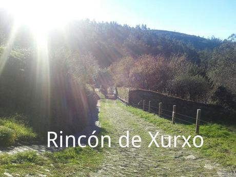 FERVENZA DE TOXOSOUTOS 1421423879561