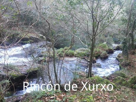 FERVENZA DE TOXOSOUTOS 1421424312302