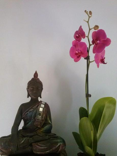 El Feng Shui, las claves para convertir tu hogar en un remanso de paz y armonía.