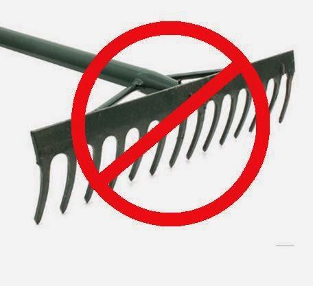 Recogida indiscriminada de setas