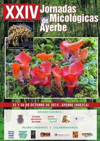 Jornadas micológicas Ayerbe 2014 Jornadas micológicas Ayerbe 2014