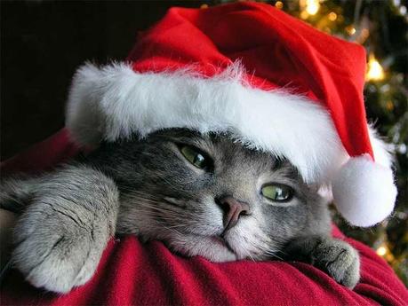 ¡LA SOMBRA DE TUS OJOS OS DESEA FELIZ NAVIDAD!