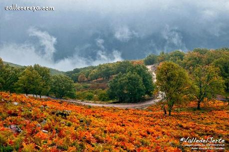 El Valle del Jerte fue uno de los destinos de interior españoles más demandados en 2014