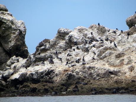 Reserva de San Fernando, Un Eden Poco Conocido