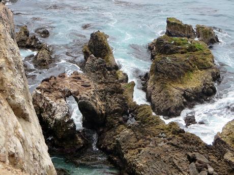 Reserva de San Fernando, Un Eden Poco Conocido