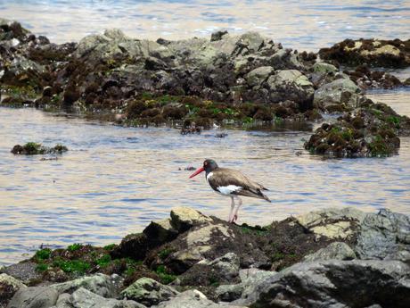 Reserva de San Fernando, Un Eden Poco Conocido