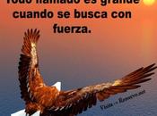 Estas destinado Volar