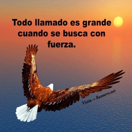 Estas destinado a Volar