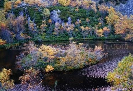 Las xanas, las hadas de la mitología asturiana y leonesa