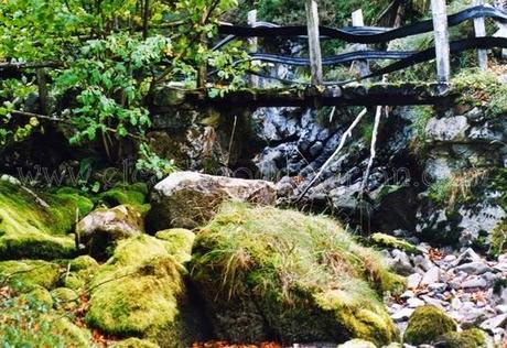 Las xanas, las hadas de la mitología asturiana y leonesa