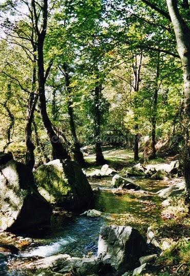 Las xanas, las hadas de la mitología asturiana y leonesa