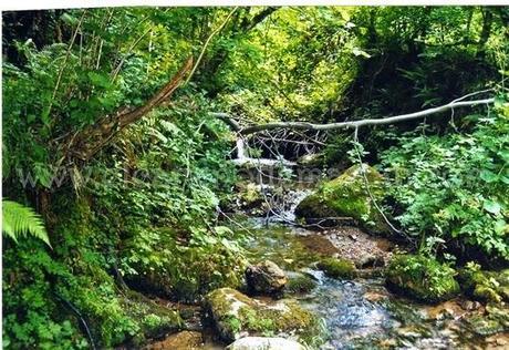 Las xanas, las hadas de la mitología asturiana y leonesa