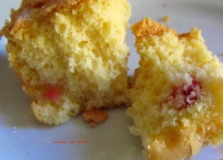 Bizcocho suave con ruibarbo