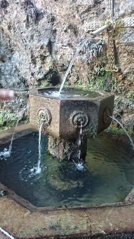 Inaugurar el año visitando los lagos y Covadonga