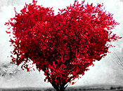 Febrero: temático amor