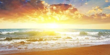 esperanza de vida y su fertilidad