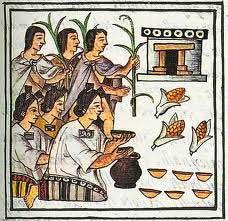agricultura azteca