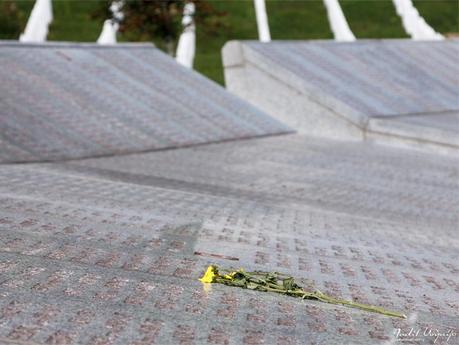 Srebrenica, 6 días de julio escritos en rojo - 3 (Judit Urquijo)