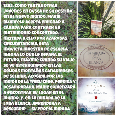 Reseña La mirada de la loba blanca de Claire Bouvier