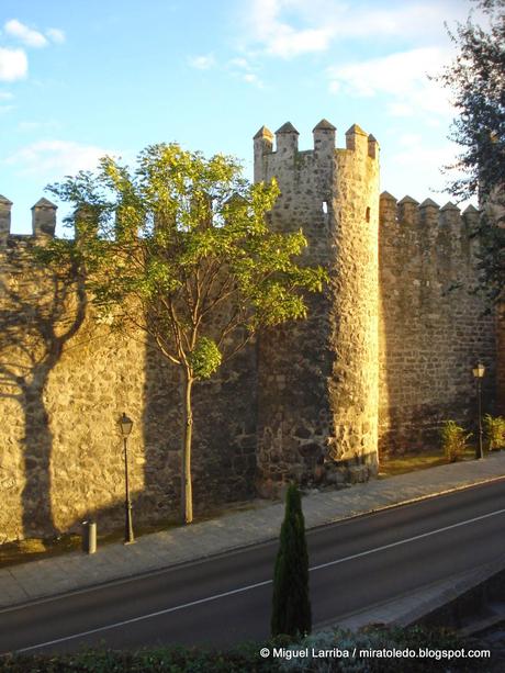 Cuadro real, casi vivo, casi intacto