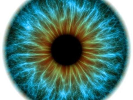 POR QUÉ EL HOMBRE DISTINGUE MÁS TONOS DEL COLOR VERDE