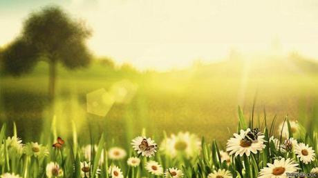 Un paisaje con mucha luz del sol