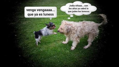 estamos tan agustito