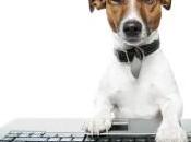 ¿Cuál mejor hosting español 2015?