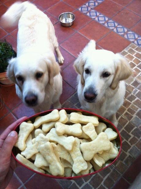 Galletas perrunas , comida para perros