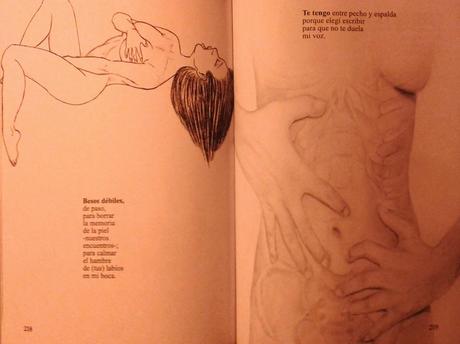 Saray Pavón: Ábreme si me quieres conocer (6):