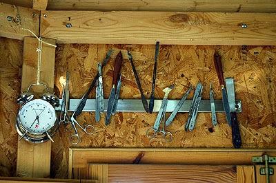 LA TIERRA DE LAS MUJERES