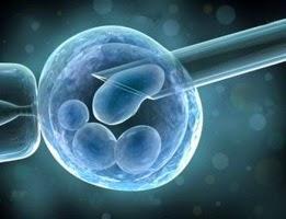 Gobierno de EEUU aprueba aparato que ayuda a elegir embrión en laboratorio