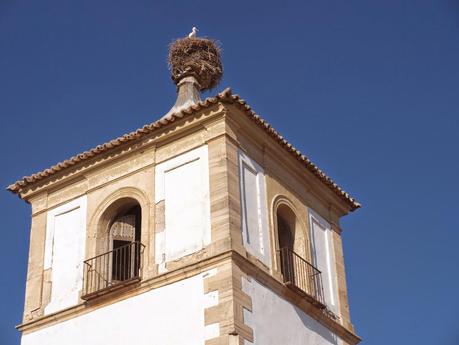 CASA DE LAS TORRES TEMBLEQUE FRAY FRANCISCO