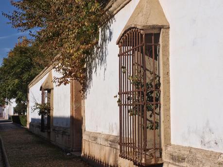 Casa de las Torres y Fray Francisco de Tembleque.