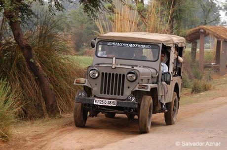 http://www.diariosdeunfotografodeviajes.com/2015/01/explorando-rajasthan-en-4x4.html